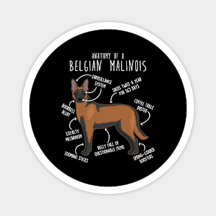 Mahogany Red Belgian Malinois Dog Anatomy Magnet